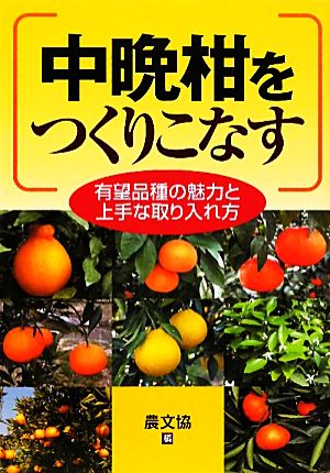 中晩柑をつくりこなす 有望品種の魅力と上手な取り入れ方 新品本・書籍