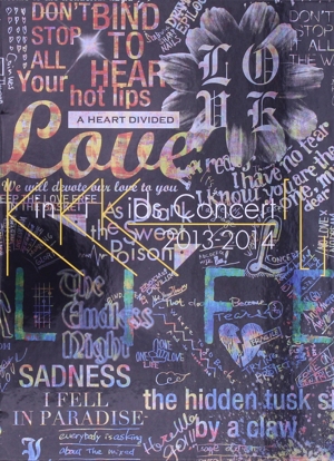 KinKi Kids Concert 2013-2014 L(初回生産限定版) 中古DVD・ブルーレイ