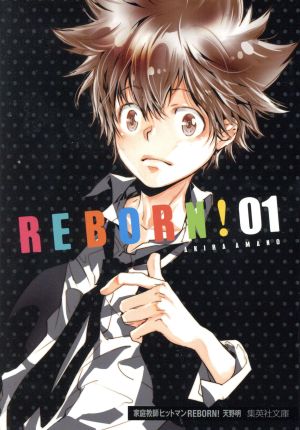 コミック全巻セット・まとめ買い】家庭教師ヒットマンREBORN！(文庫版