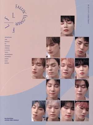 舞い落ちる花びら(Fallin' Flower)(初回限定盤C)(Blu-ray Disc付) 中古