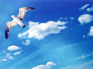 メンズ校 DVD-BOX 中古DVD・ブルーレイ | ブックオフ公式オンラインストア