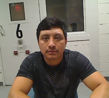 DHS Law Enforcement Arrests Gang Members, Kidnappers, Drug