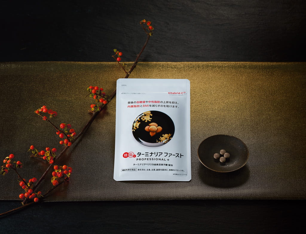 重要なお知らせ】ターミナリアファースト、2021年1月後半(予定)に