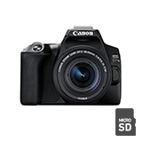 プロ厳選・初心者におすすめのデジタル一眼レフカメラを実写で比較