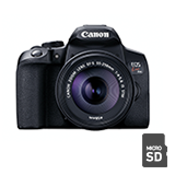 プロ厳選・初心者におすすめのデジタル一眼レフカメラを実写で比較