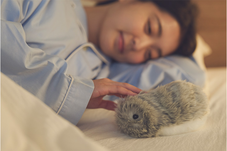 CASIO AIペット Moflin（モフリン） シルバー｜ kikito[キキト