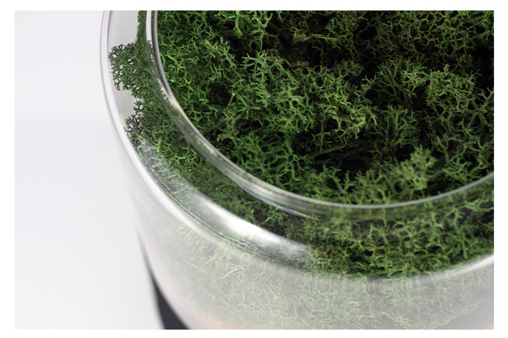 briiv 空気清浄機｜Single Pack｜ kikito[キキト] -ドコモの家電