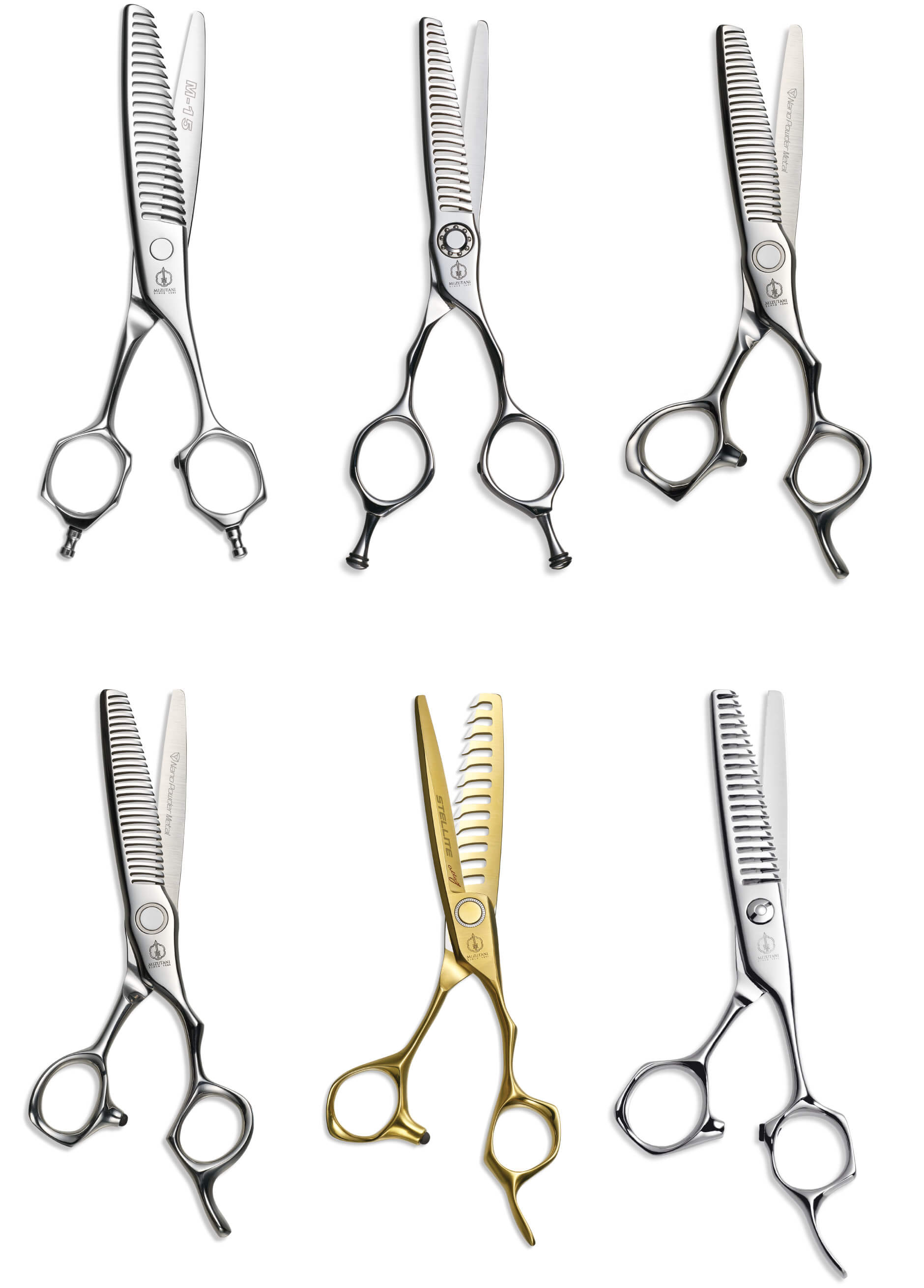 特集 春のカット応援フェア 2025 | ミズタニシザーズ