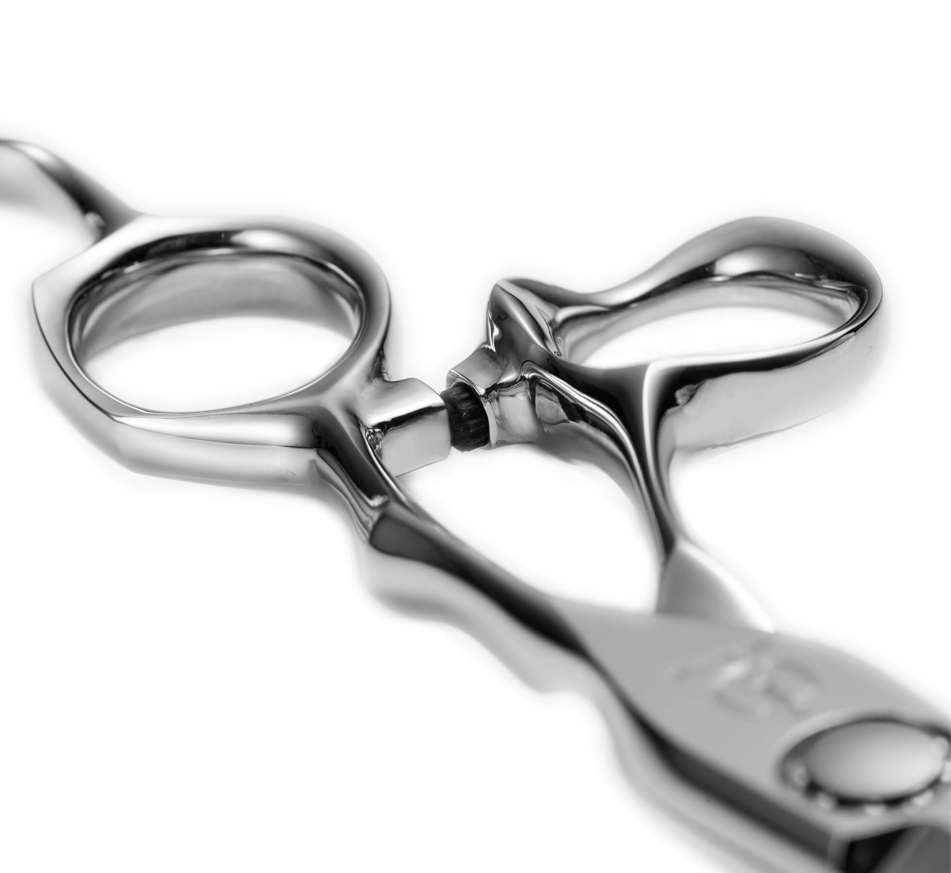 特集 新製品 2025 | ミズタニシザーズ