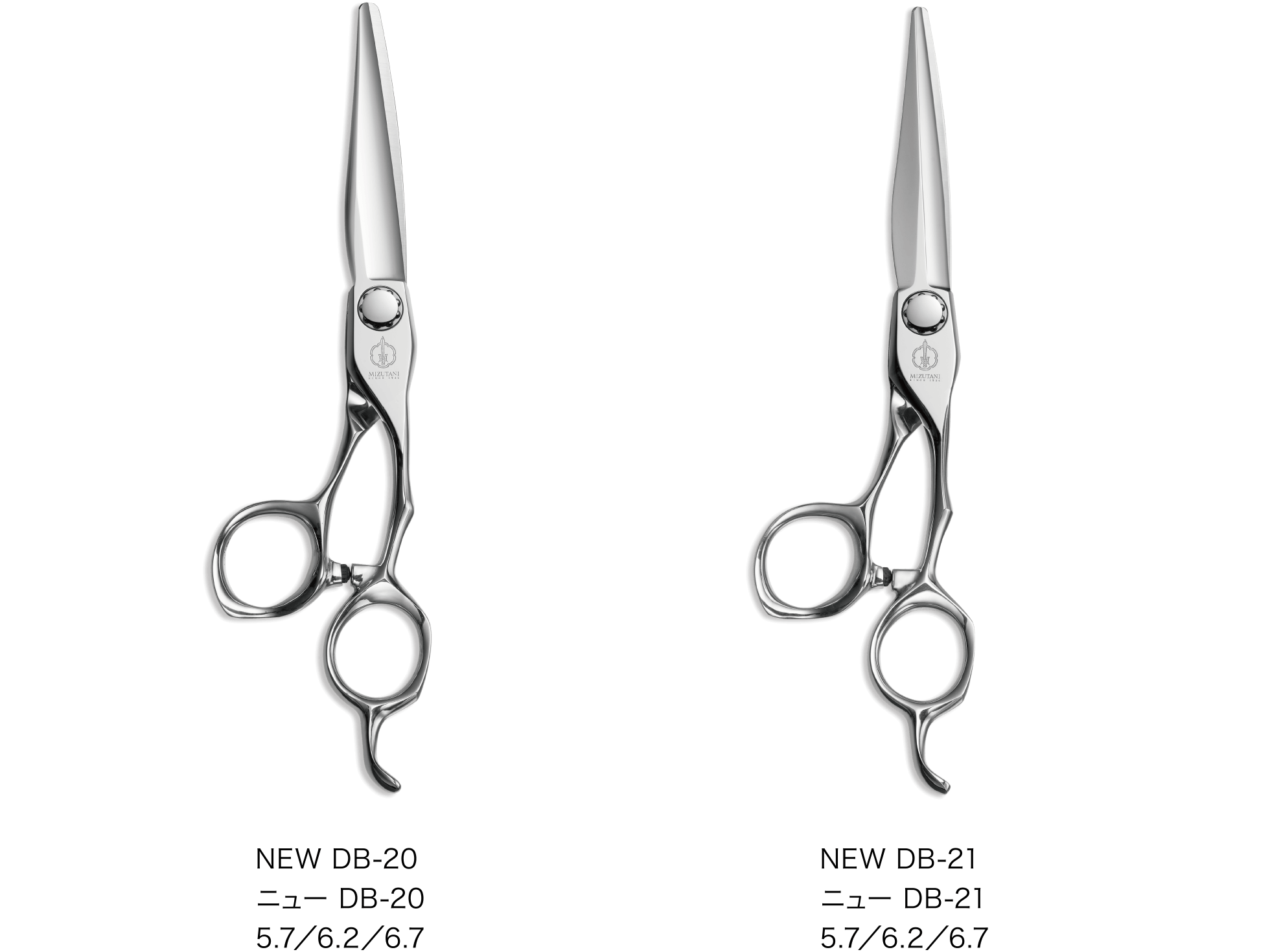 特集 新製品 2025 | ミズタニシザーズ