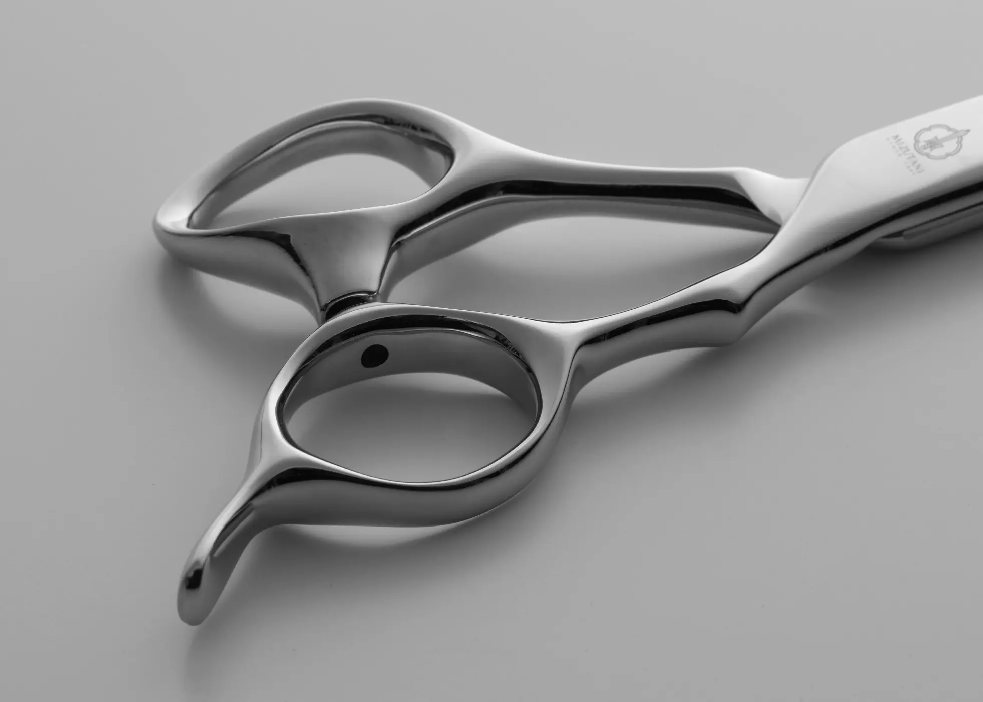 特集 New Fit | ミズタニシザーズ