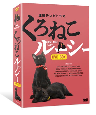 画像・写真 | ドランク塚地主演でドラマ『くろねこルーシー』映画化 安