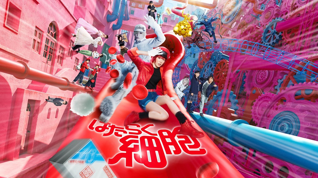 興収63億円突破の映画『はたらく細胞』デジタル販売開始、Blu-ray＆DVD