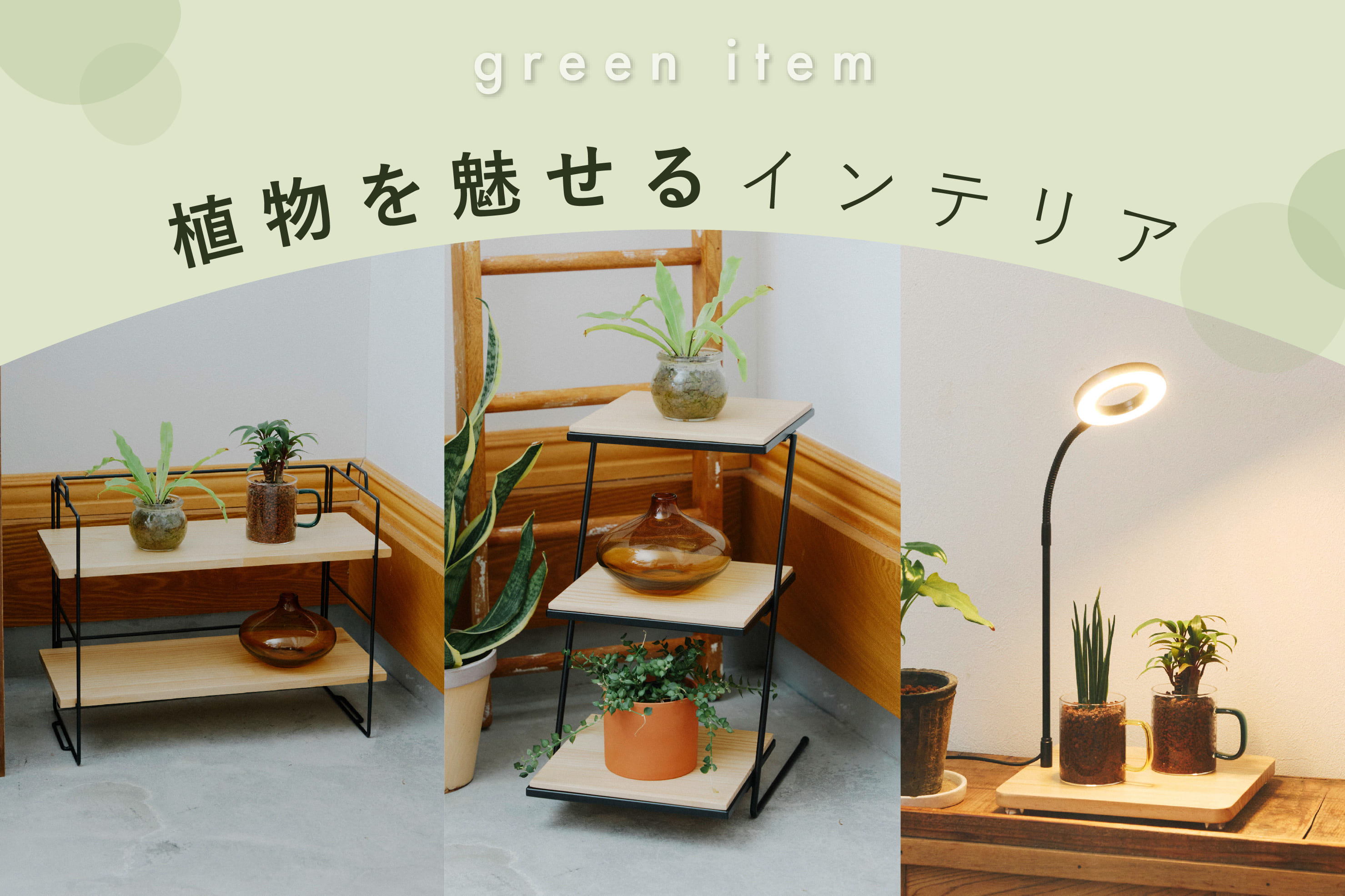 植物を魅せるインテリア | salut!(サリュ)のニュース | PAL CLOSET