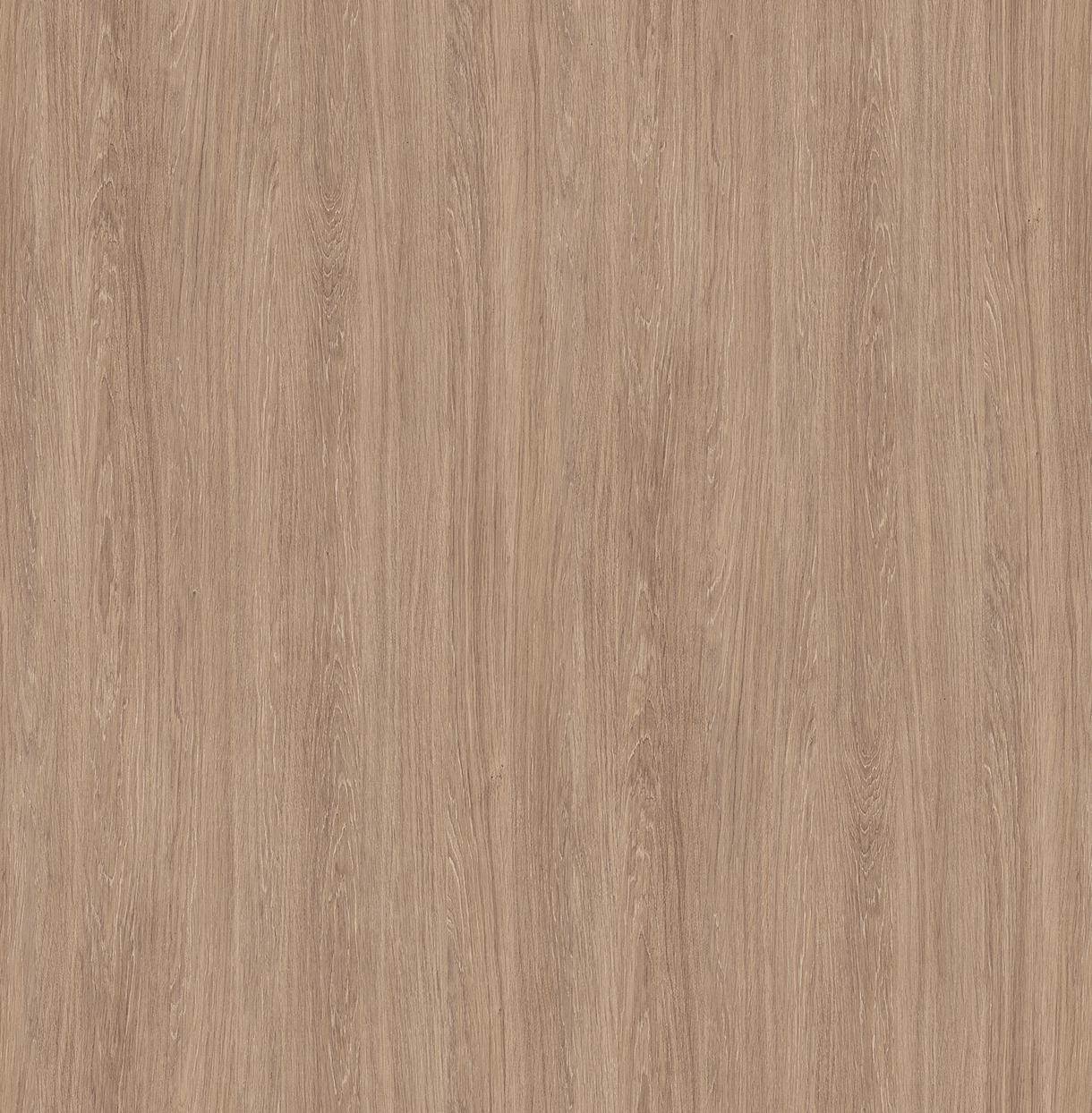 YC5786 | サンゲツ