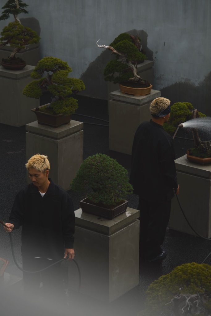 寅壱 x TRADMAN'S BONSAI #04 | Toraichi Concept