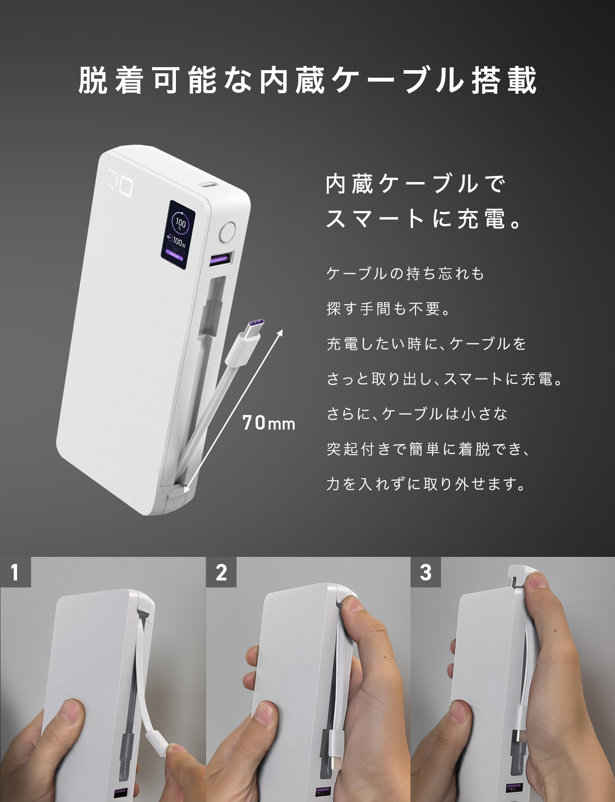 SMARTCOBY Pro CABLE 100W 20K | 株式会社CIO（シーアイオー）公式HP