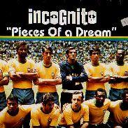 PIECES OF A DREAM (SAMBA SOUND REMIXES) / /INCOGNITO レコード通販