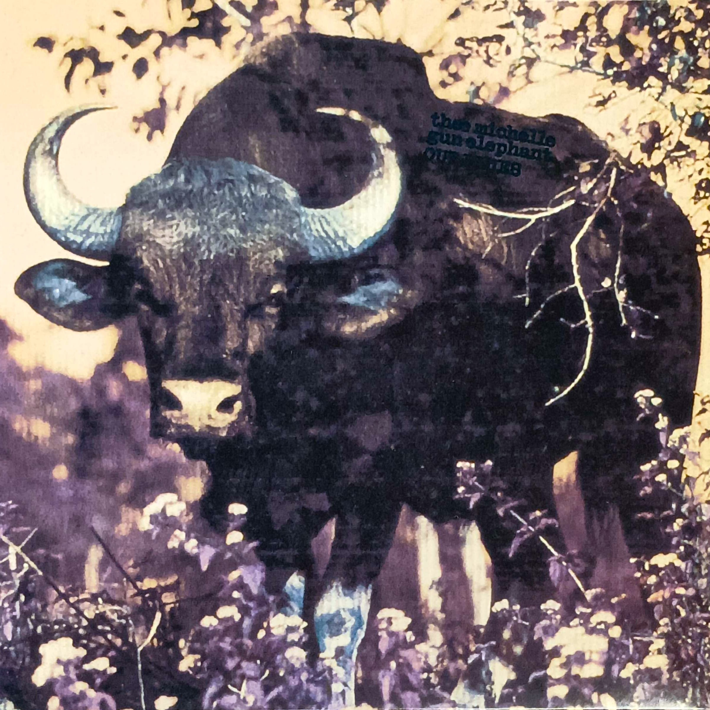 COCONUTS DISK WEBSTORE / 90's / 00's / 10's