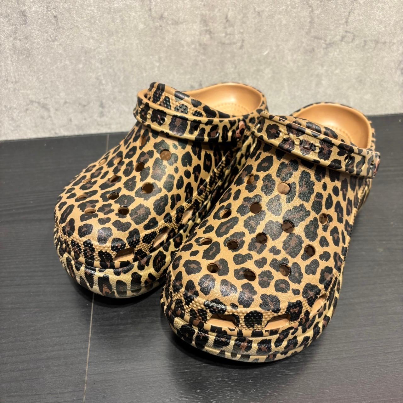 ANIMAL CROG | ABC-MART/ABC-MART SPORTS/Charlotte | COCOSA｜熊本下