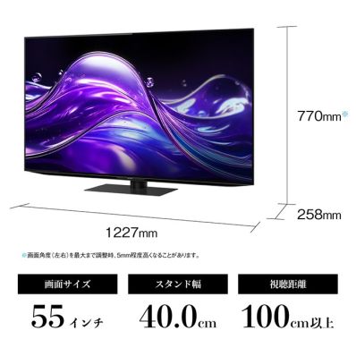 シャープ公式通販】 55V型 4K有機ELテレビ+標準配送設置サービス