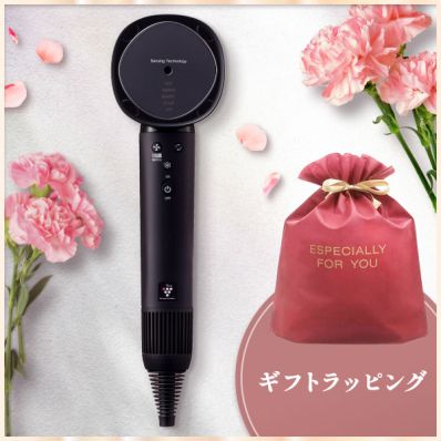 シャープ公式通販】 【無料ギフトラッピング付】プラズマクラスター