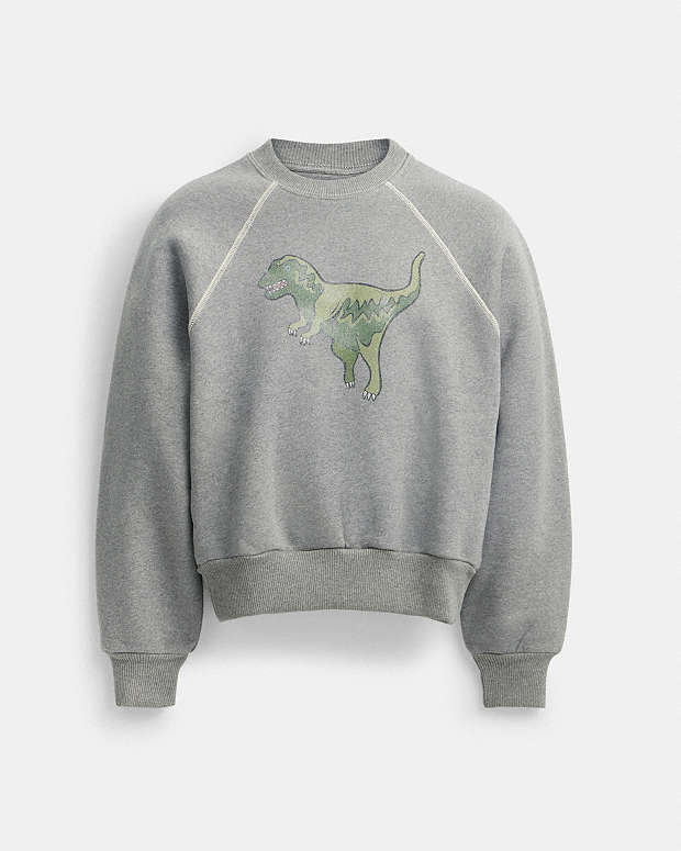 公式】COACH – コーチ | レキシー クルーネック スウェットシャツ