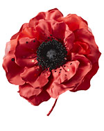 ひばり千夜一夜 | ディスコグラフィ | 美空ひばり | 日本コロムビア