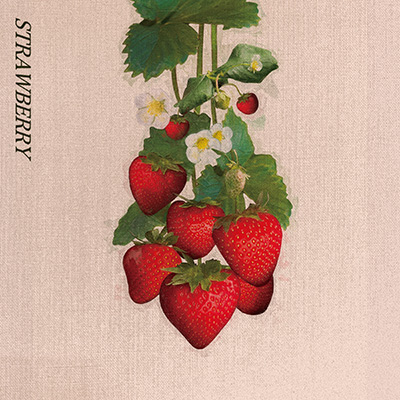 STRAWBERRY | ディスコグラフィ | kobore | 日本コロムビア