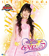 炎神戦隊ゴーオンジャー G3プリンセス CD-BOX