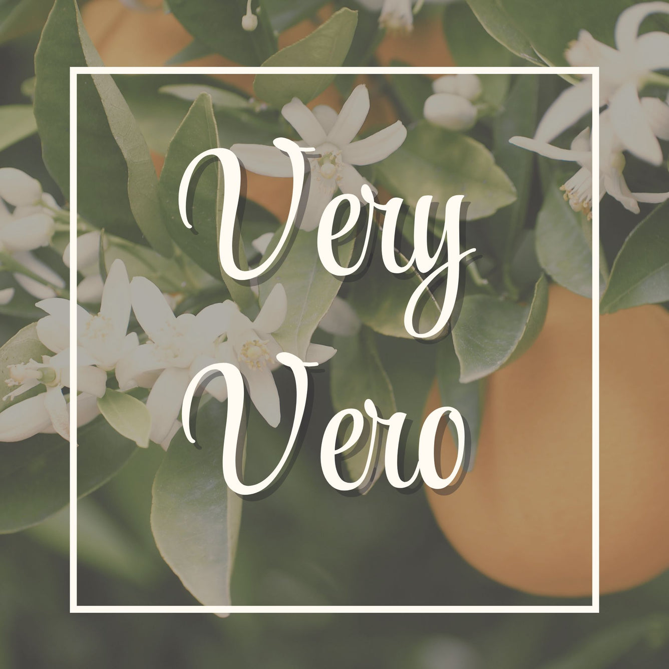 VERY VERO (Orange Blossom) – The Columbia Fragrance Co.