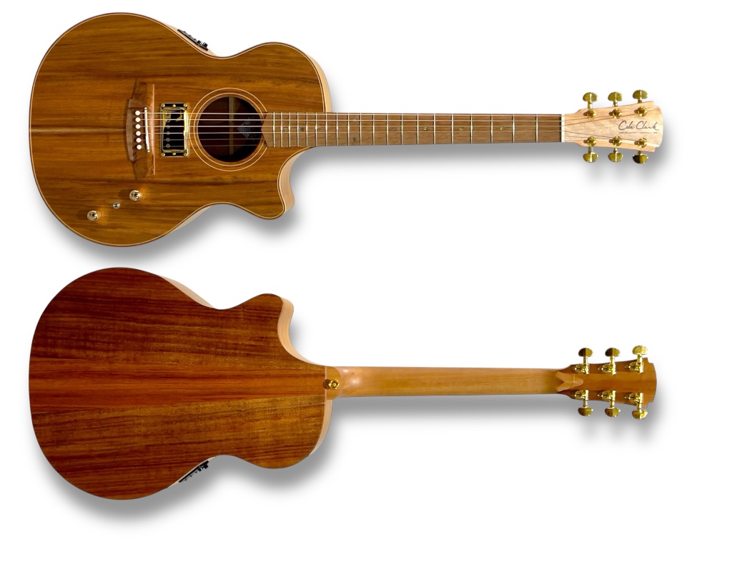 CCAN2EC-BLBL-AE-HUM - Cole Clark Guitars | Cole Clark Guitars