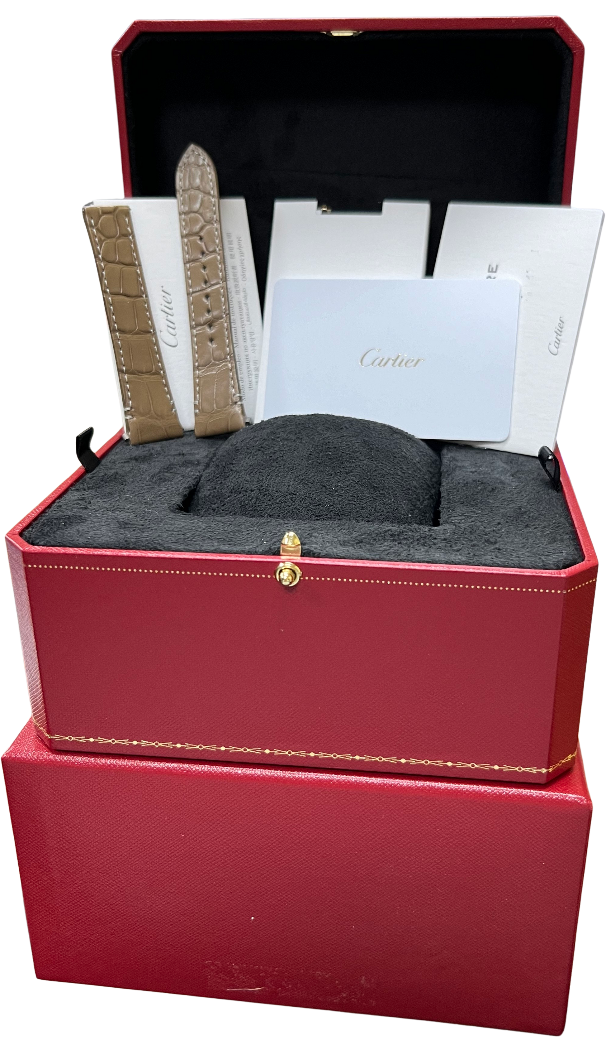 NEW 2024 PAPERS Cartier Santos Mid-Size 35mm Brown Steel WSSA0065