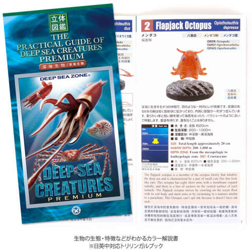 動物 生物 立体図鑑 深海生物プレミアムボックス / カロラータ