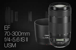 d9d03-canon-ef-70-300-f-4-5-6-