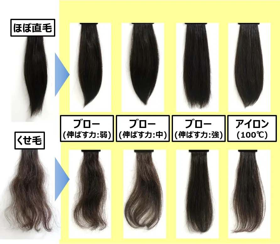 くせ・うねり毛を伸ばしやすい素直な髪に！ | Cosmetic Science