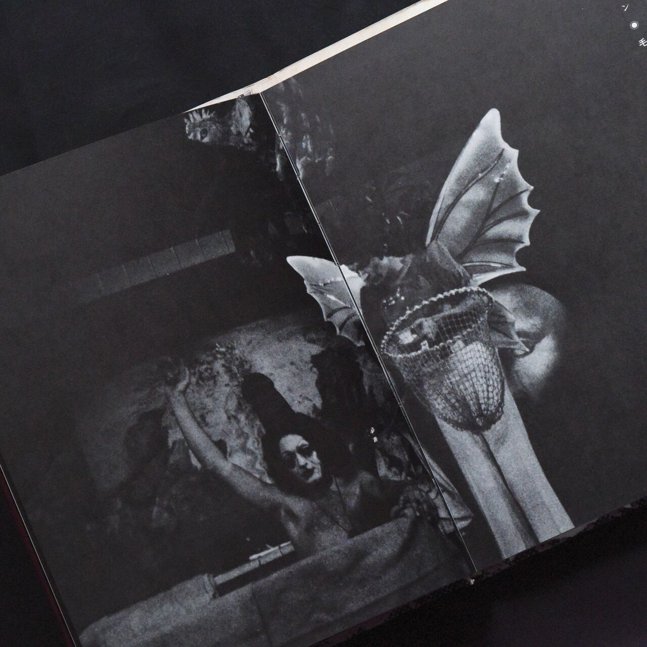 本 :: アート写真集 :: 幻想舞台写真帖 天井桟敷の人々 | COTTOU.JP