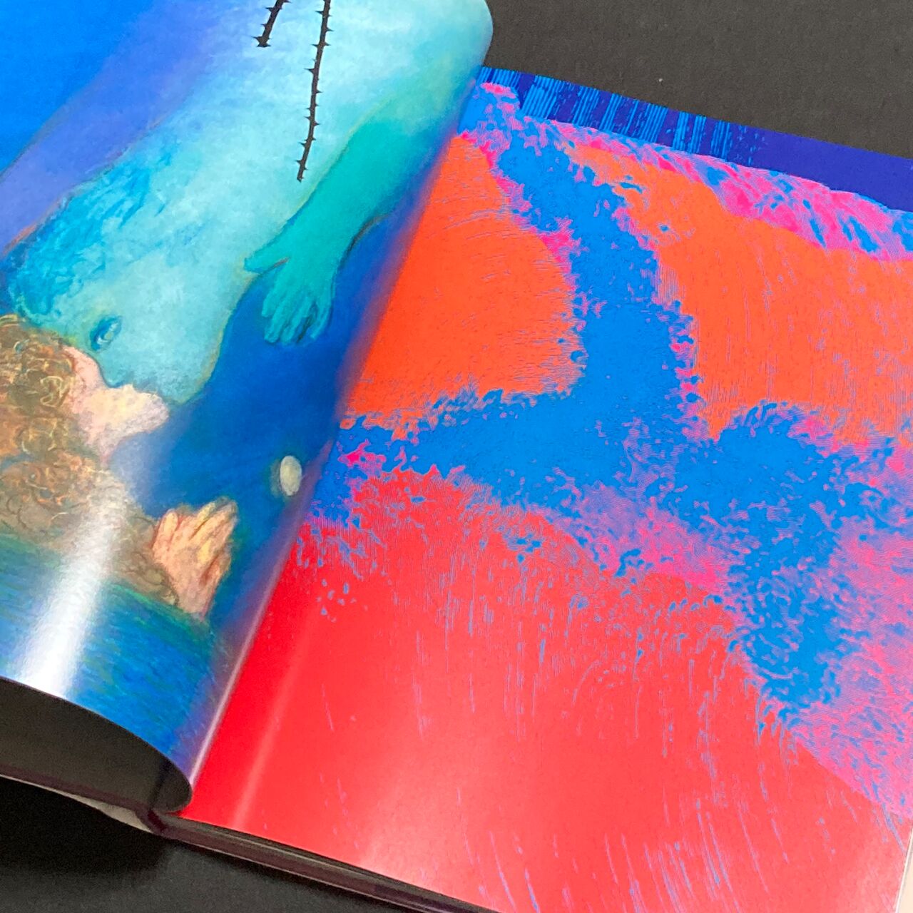 本 :: アート写真集 :: 細江英公 / 薔薇刑 英語版「Ba Ra Kei: Ordeal