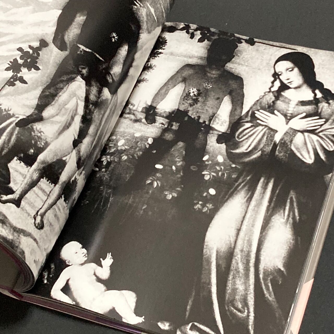 本 :: アート写真集 :: 細江英公 / 薔薇刑 英語版「Ba Ra Kei: Ordeal