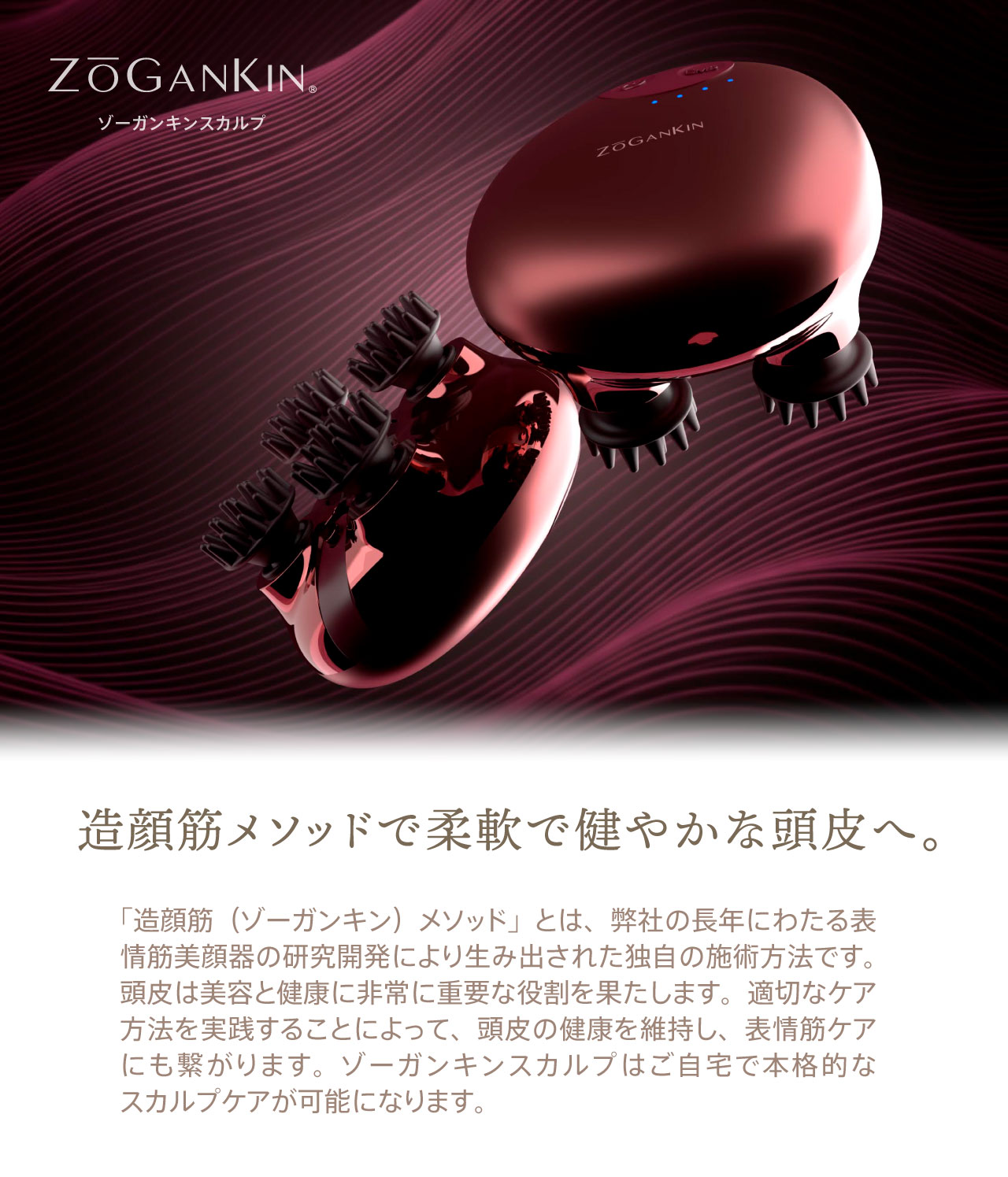 ZOGANKIN】 ゾーガンキン スカルプ 【限定カラー】 – （株）Dampfer