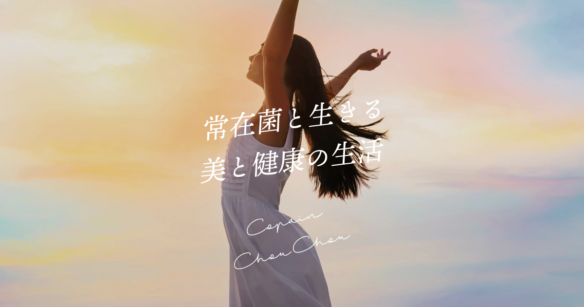 Bonne Rege - copain chou chou コパン シュシュ