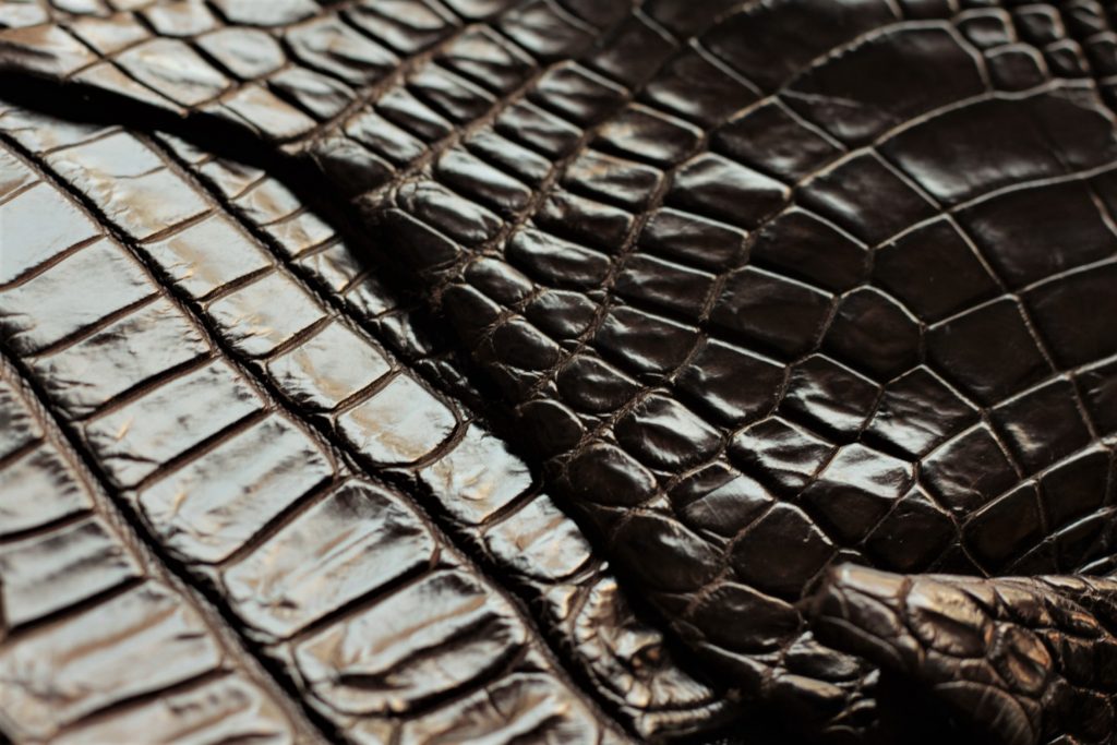 クロコダイルWalkers 販売開始のお知らせ | CORBO. コルボ