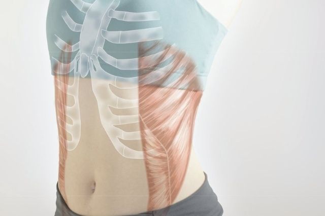 家庭用EMS「コアレミニ」 骨盤底筋・インナーマッスルトレーニング