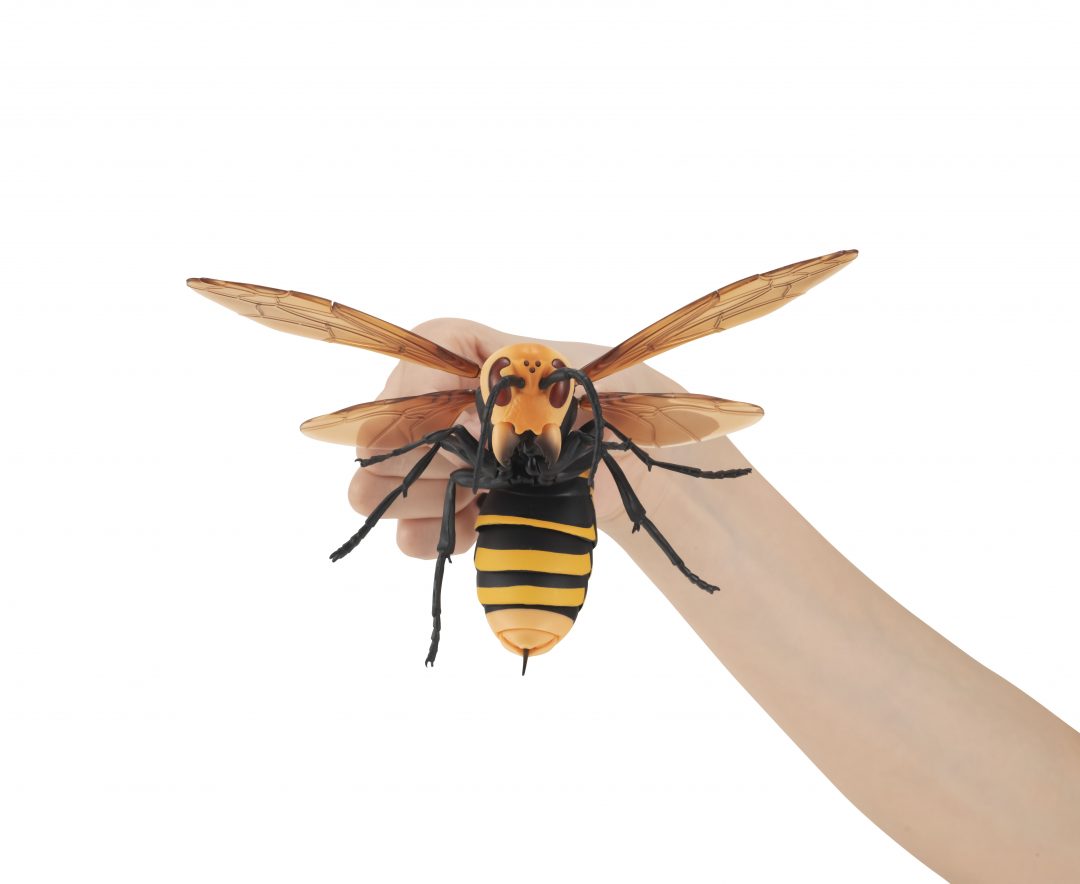 すずめばちを完全再現！ リアルすぎるクオリティのカプセルトイが登場