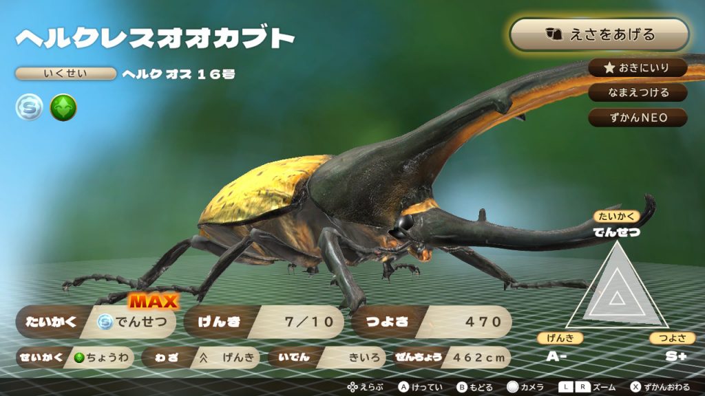 カブトクワガタ日記】第189回 ヘルクレスオオカブトの