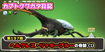 カブトクワガタ日記】第198回 ヘルクレス・リッキーブルーの奇跡（2