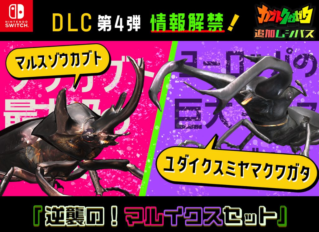 カブトクワガタ日記】第232回 これが