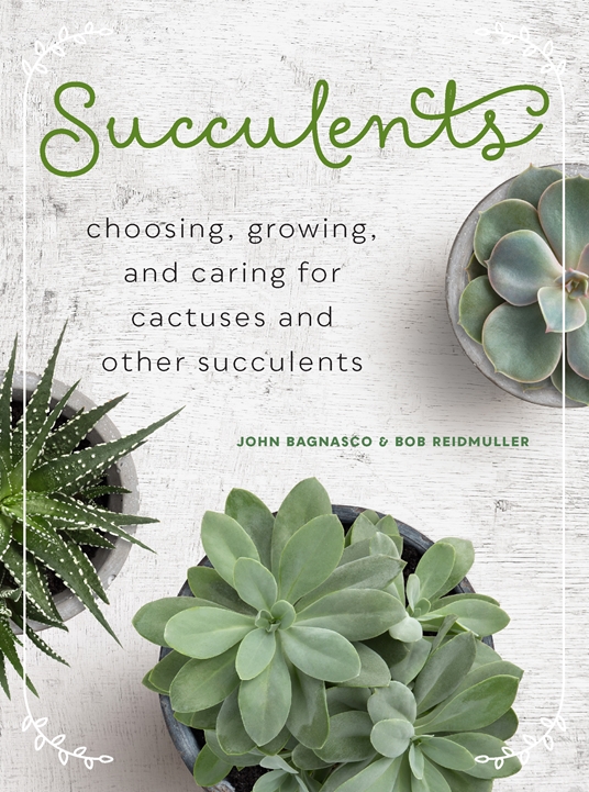 Succulents by John Bagnasco, Bob Reidmuller | Quarto At A Glance