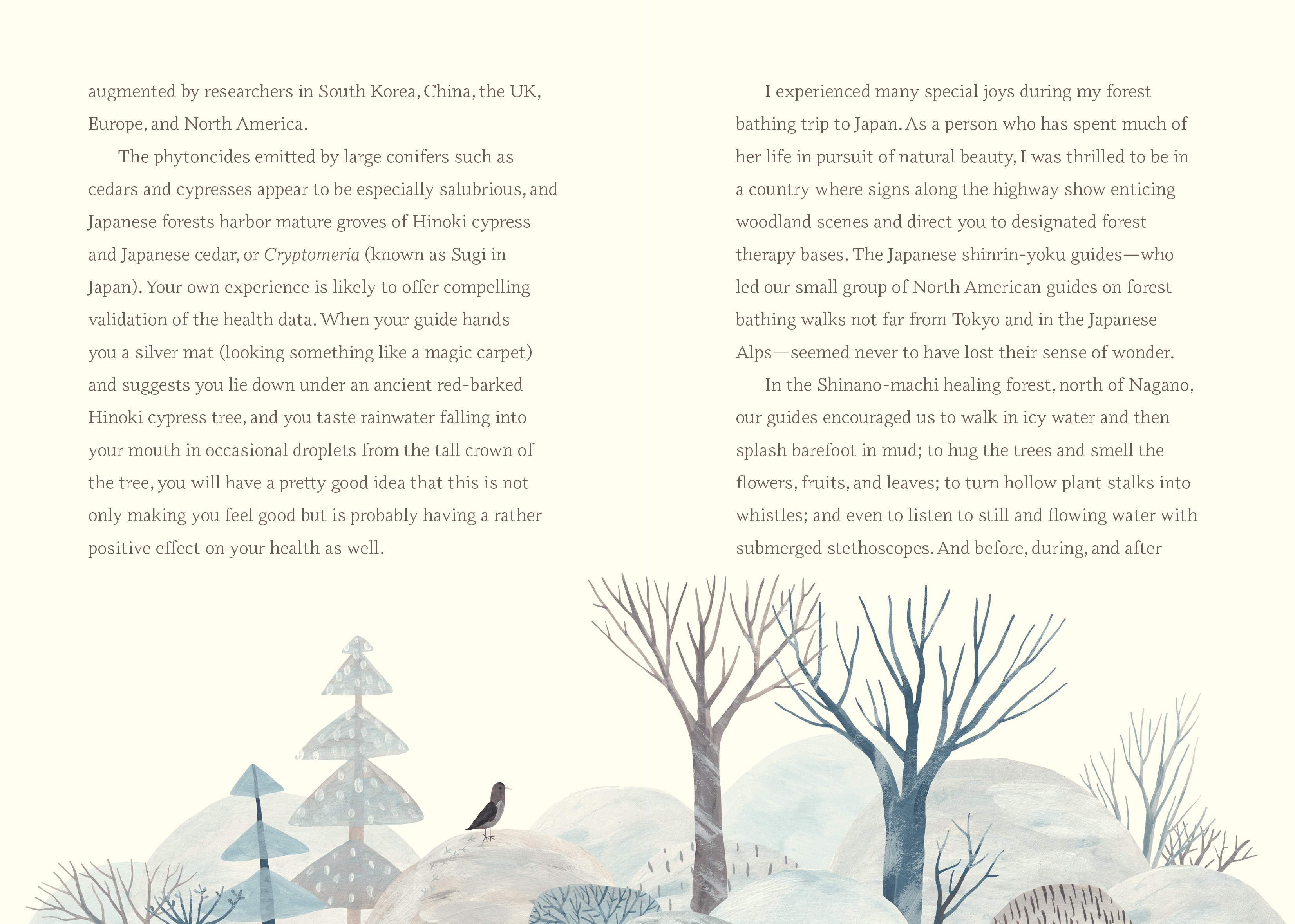 Wild Walking by Melanie Choukas-Bradley | Quarto At A Glance | The