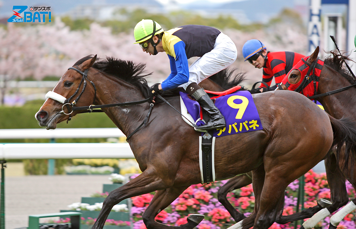 ZBAT写真館】アパパネ - サンスポZBAT!